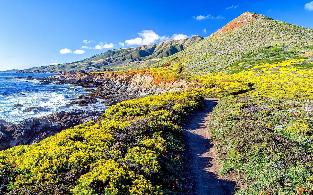 网络化高标准工业